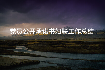 党员公开承诺书妇联工作总结