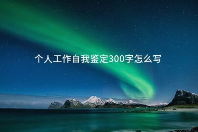 个人工作自我鉴定300字怎么写