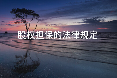 股权担保的法律规定