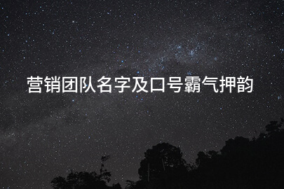 营销团队名字及口号霸气押韵
