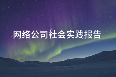 网络公司社会实践报告