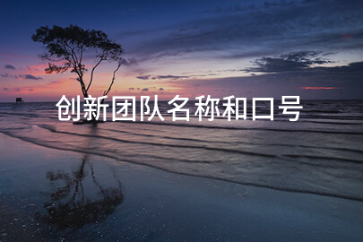 创新团队名称和口号