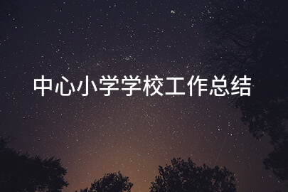 中心小学学校工作总结