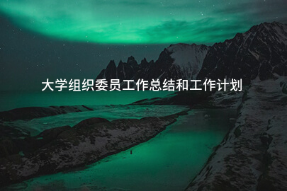 大学组织委员工作总结和工作计划