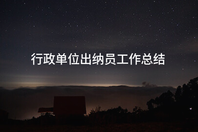 行政单位出纳员工作总结