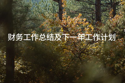 财务工作总结及下一年工作计划