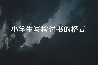 小学生写检讨书的格式