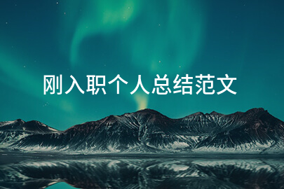 刚入职个人总结范文