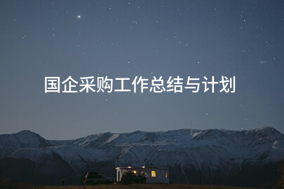 国企采购工作总结与计划