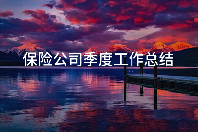 保险公司季度工作总结