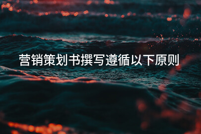 营销策划书撰写遵循以下原则