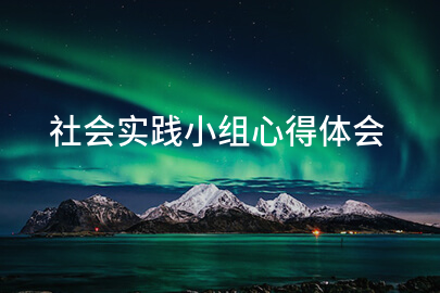 社会实践小组心得体会
