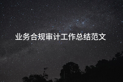业务合规审计工作总结范文
