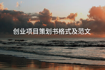 创业项目策划书格式及范文