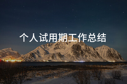 個人試用期工作總結