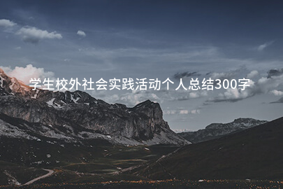学生校外社会实践活动个人总结300字