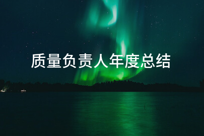 质量负责人年度总结