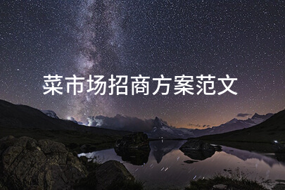 菜市场招商方案范文