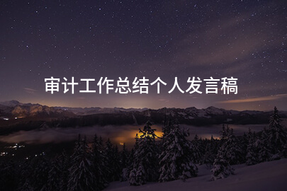 审计工作总结个人发言稿