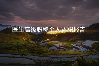 医生高级职称个人述职报告