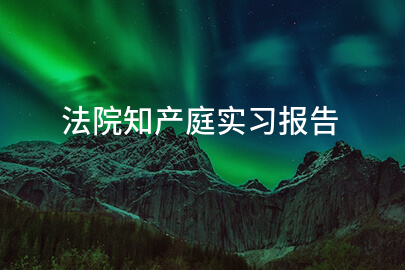 法院知产庭实习报告