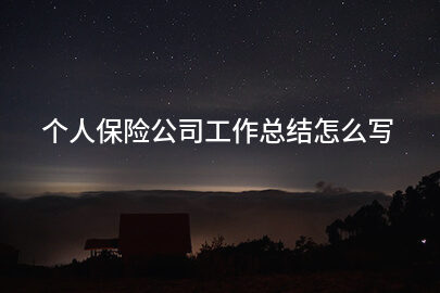 个人保险公司工作总结怎么写