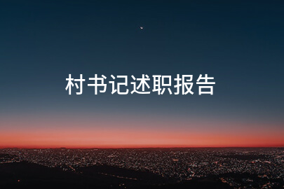 村书记述职报告