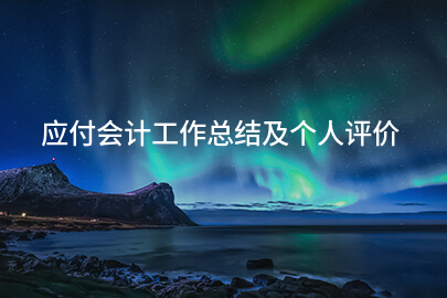 应付会计工作总结及个人评价