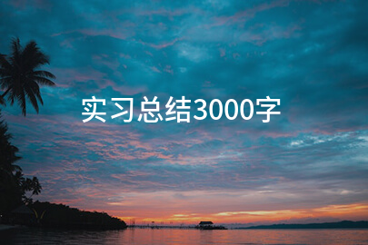 實習總結3000字