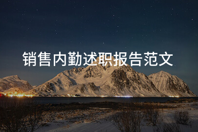 销售内勤述职报告范文