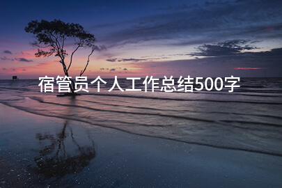 宿管员个人工作总结500字