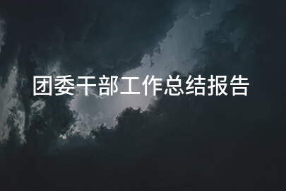 团委干部工作总结报告