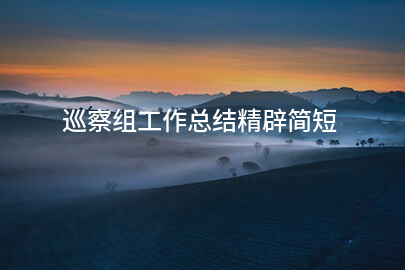 巡察组工作总结精辟简短