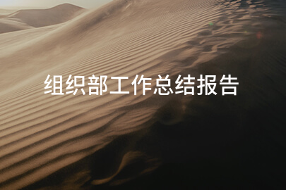 组织部工作总结报告