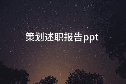 策划述职报告ppt