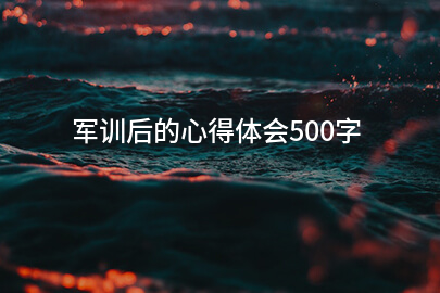 军训后的心得体会500字