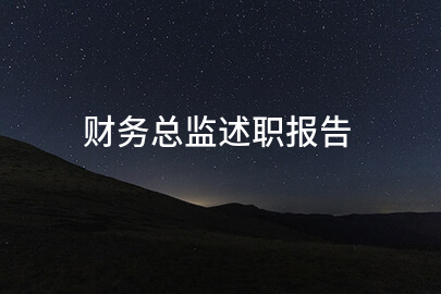 财务总监述职报告