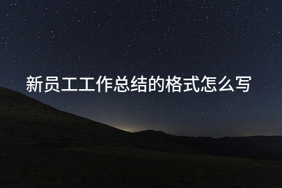 新员工工作总结的格式怎么写
