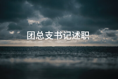 团总支书记述职