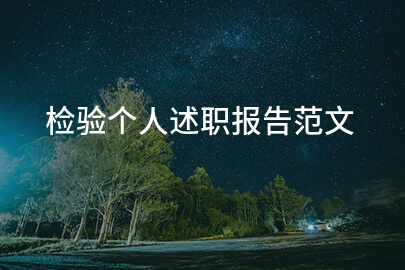检验个人述职报告范文
