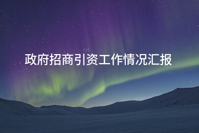 政府招商引资工作情况汇报