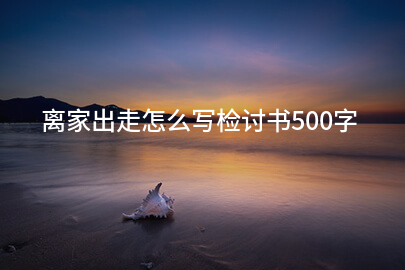 离家出走怎么写检讨书500字