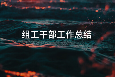 组工干部工作总结