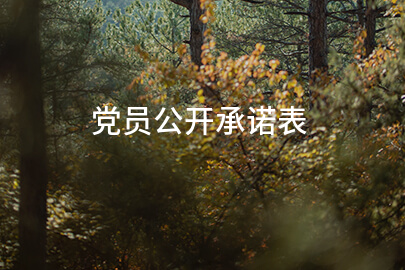 党员公开承诺表