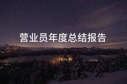 营业员年度总结报告