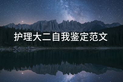 护理大二自我鉴定范文