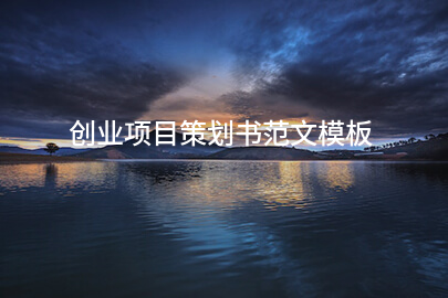 创业项目策划书范文模板