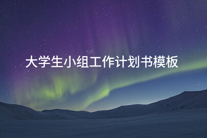 大学生小组工作计划书模板