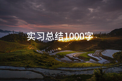 實習總結1000字