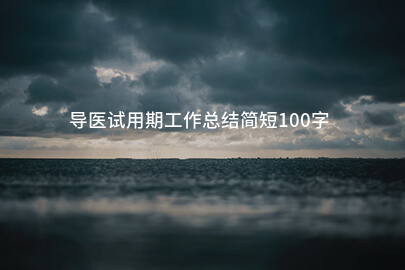 导医试用期工作总结简短100字